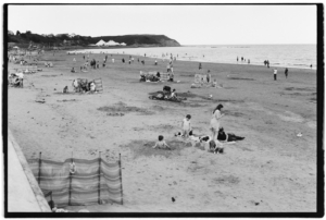 Project 20211202 0002