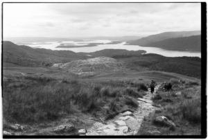 Project 20211202 0007