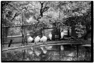 Project 20211202 0017