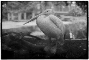 Project 20211202 0018