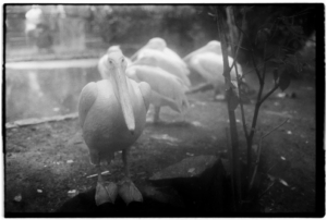 Project 20211202 0019