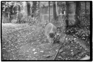 Project 20211202 0020