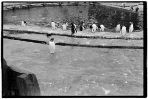 Project 20211202 0021