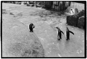 Project 20211202 0022