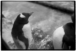 Project 20211202 0023