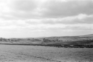 Compressed 002536dbf4fd9dd9 0-24