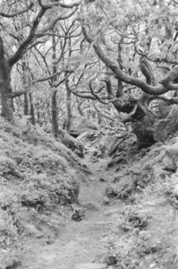 Compressed 11e3f794c2a2f045 0-21