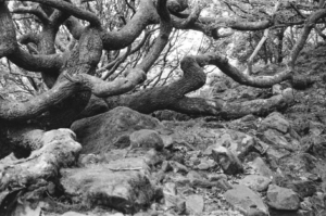 Compressed 3e61269b3ac22c56 0-23