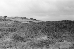 Compressed 4d83b442e341cf74 0-7