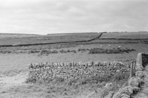 Compressed 7dbb98ae3e420ada 0-25