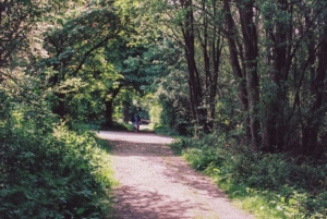 Compressed 963ed84fb4e14b57 0-23