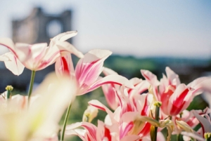 Compressed c80e18a22311e0f6 0-9