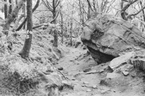 Compressed e069f79f105568eb 0-22