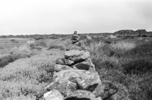 Compressed e20ce8ba429dd4e7 0-17