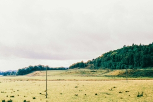 Compressed 15fc2d5e968f4d4e Tianhou-Wang-1405-32