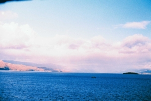 Compressed 23bf6bd7b9fb81c7 Tianhou-Wang-1405-24