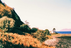 Compressed 3284754b3e695dc9 Tianhou-Wang-1405-13