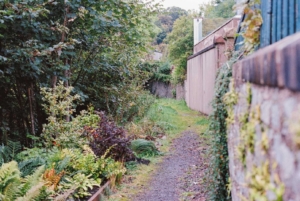 Compressed aaefe4678de6d362 Tianhou-Wang-1404-06