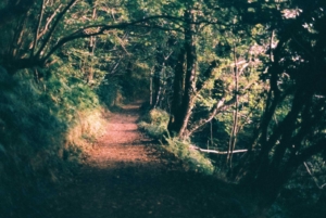 Compressed e713d29e3c1750ad Tianhou-Wang-1405-09