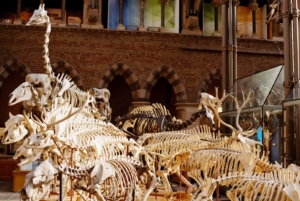 Compressed da43b2bbb7e53096 Tianhou-Wang-1403-18